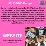 SPLK-1003 Dumps