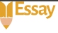 Essay Writer NZ