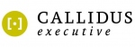 CALLIDUS Executive GmbH