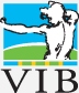 VIB