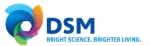 DSM NV