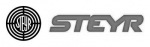 Steyr GmbH & Co KG (MAGNA GROUP)
