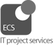 ECS Project services