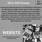 SPLK-1003 Dumps